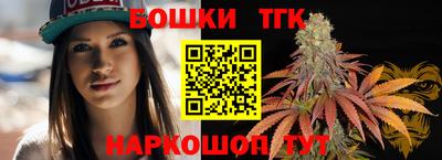 МДПВ Дубна