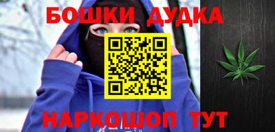 МДПВ Дубна