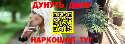 крисы Донской