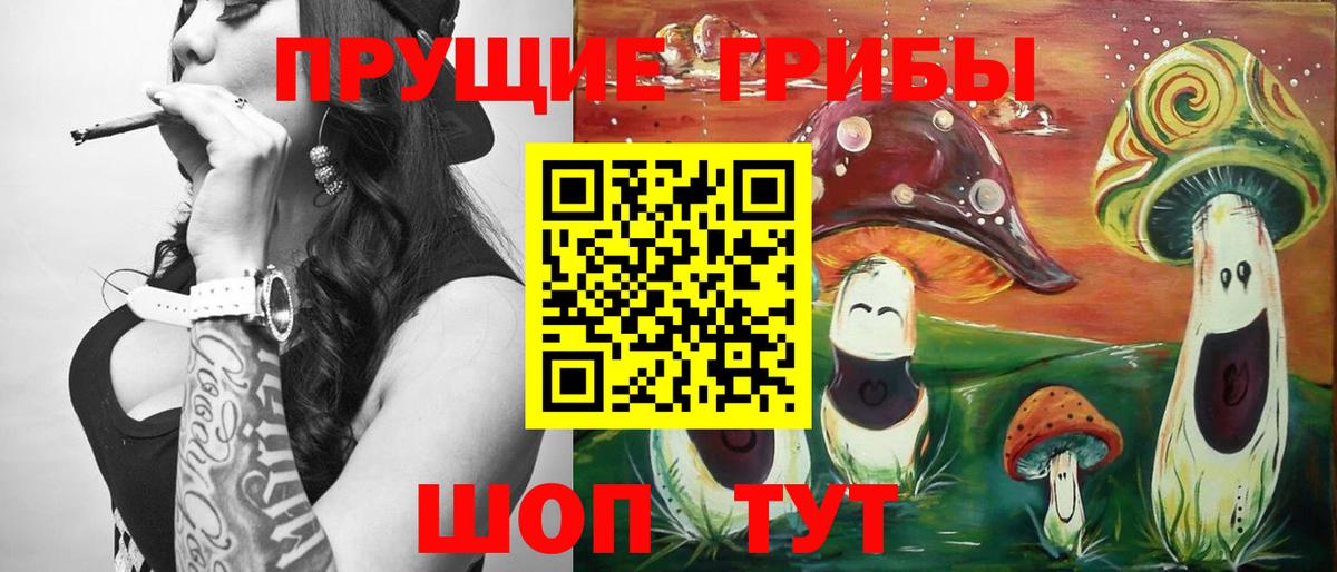 Галлюциногенные грибы Cubensis  Вход с VPN  Саранск 